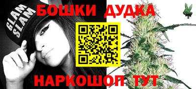 спиды Будённовск