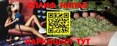 амф Заволжье