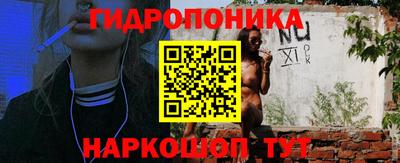 амф Заволжье