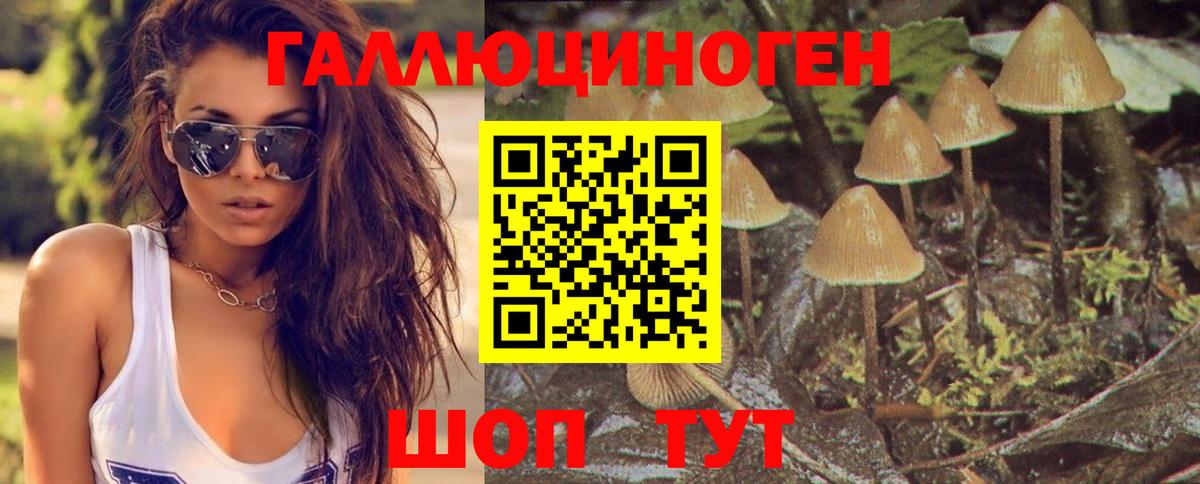 Галлюциногенные грибы прущие грибы Карабулак