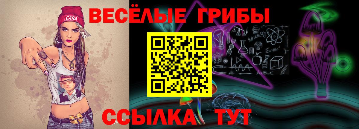 Галлюциногенные грибы Cubensis  Вход с VPN  дарнет шоп  Карабулак  Псилоцибиновые грибы Psilocybine cubensis 